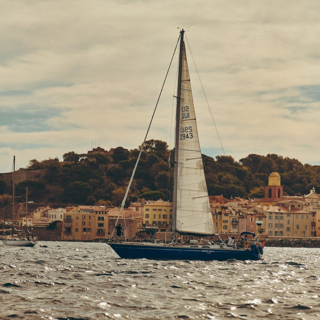 Product image for Whispering Angel Rose