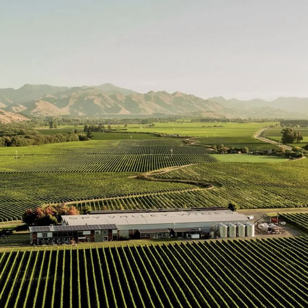 Product image for Satellite Sauvignon Blanc