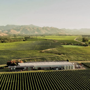 Product image for Satellite Sauvignon Blanc