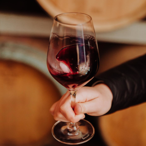 Product image for Chateau Argadens Rouge