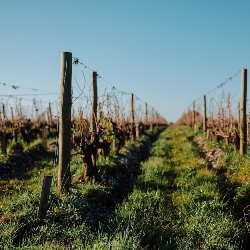 Product image for Chateau Argadens Rouge