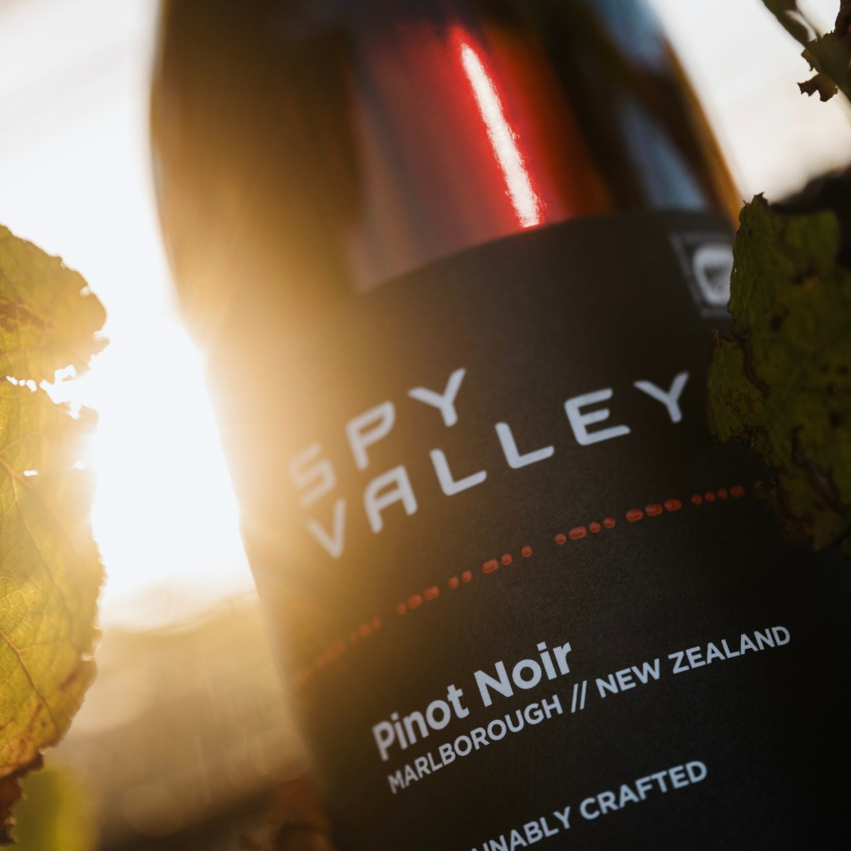Product image for Spy Valley Pinot Noir