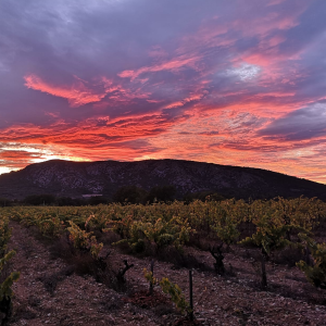Product image for Saint Jean du Barroux L'Argile
