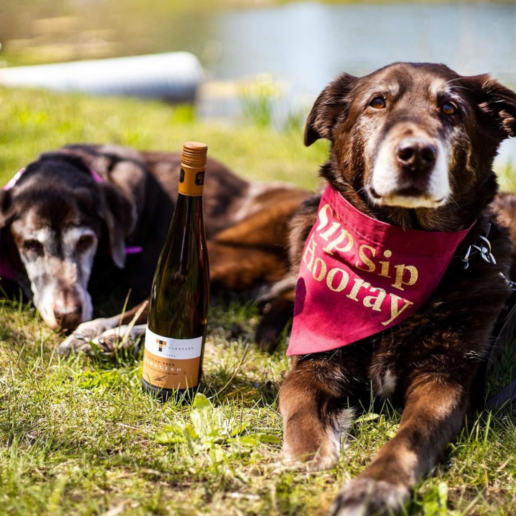 Product image for Tawse Riesling