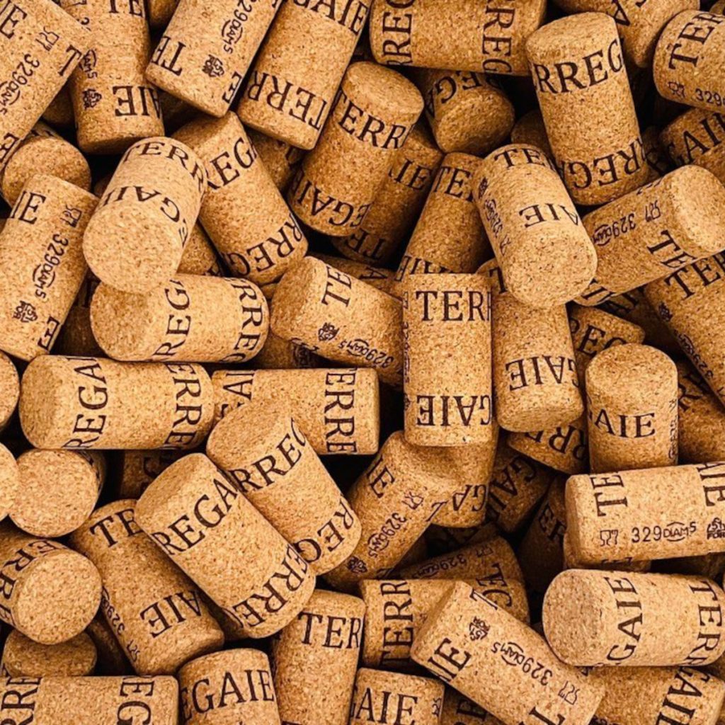 Product image for Terregaie Prosecco