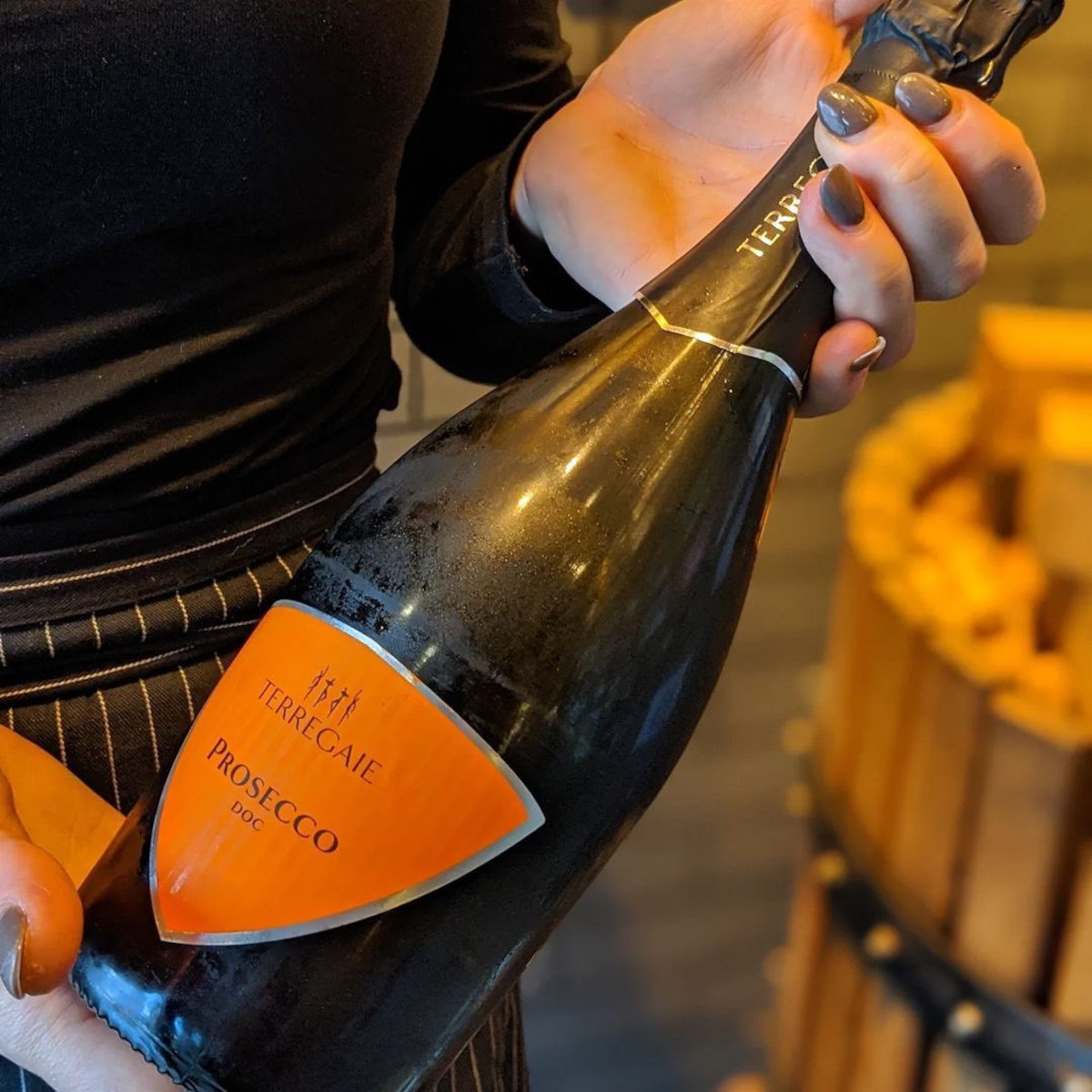 Product image for Terregaie Prosecco