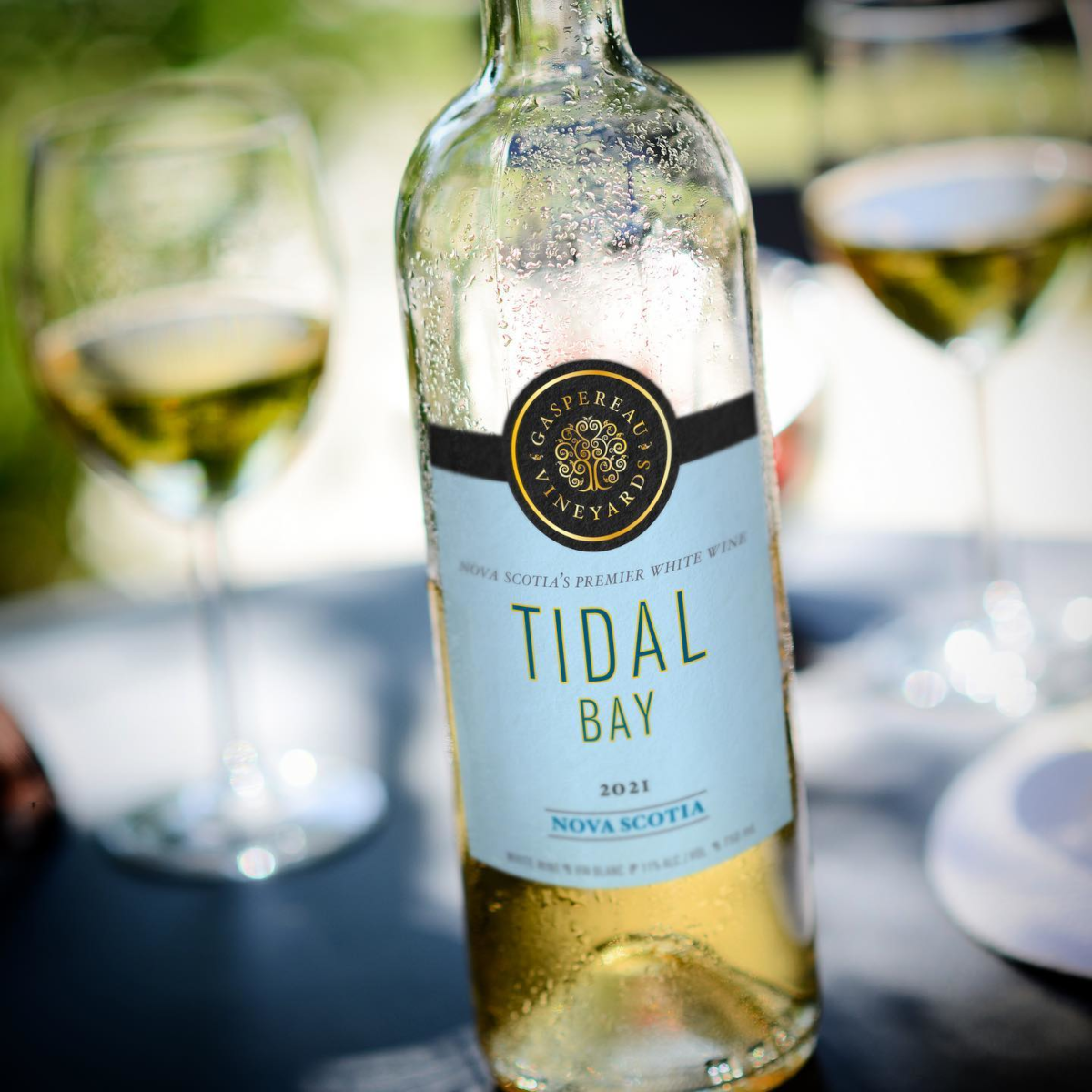 Product image for Gaspereau Tidal Bay