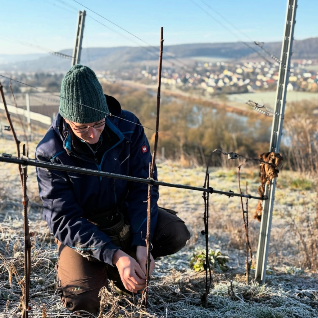 Product image for Am Stein Guts Riesling