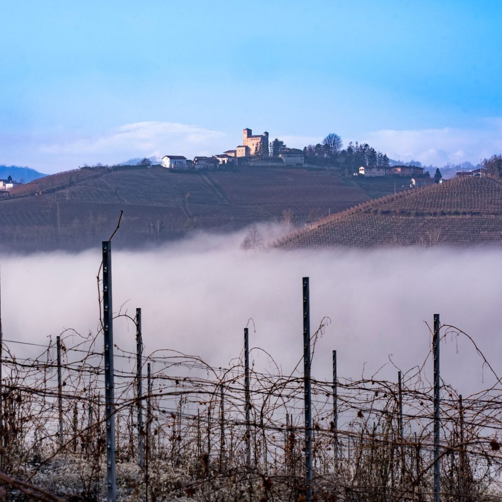 Product image for Vietti Barolo