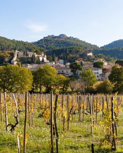 Product image for Saint Cosme Gigondas