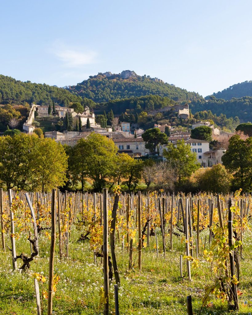 Product image for Saint Cosme Gigondas