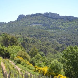 Product image for Saint Cosme Gigondas