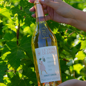 Product image for Le Vigne di Zamo Pinot Grigio