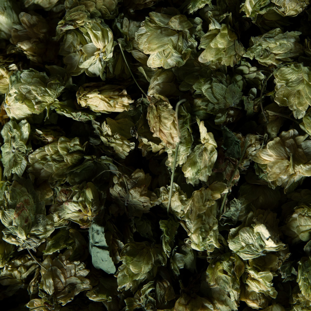 Product image for Asahi - Super Dry Lager