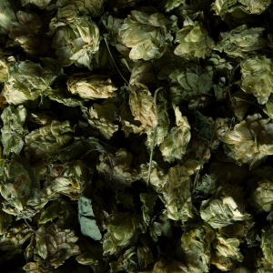 Product image for Asahi - Super Dry Lager