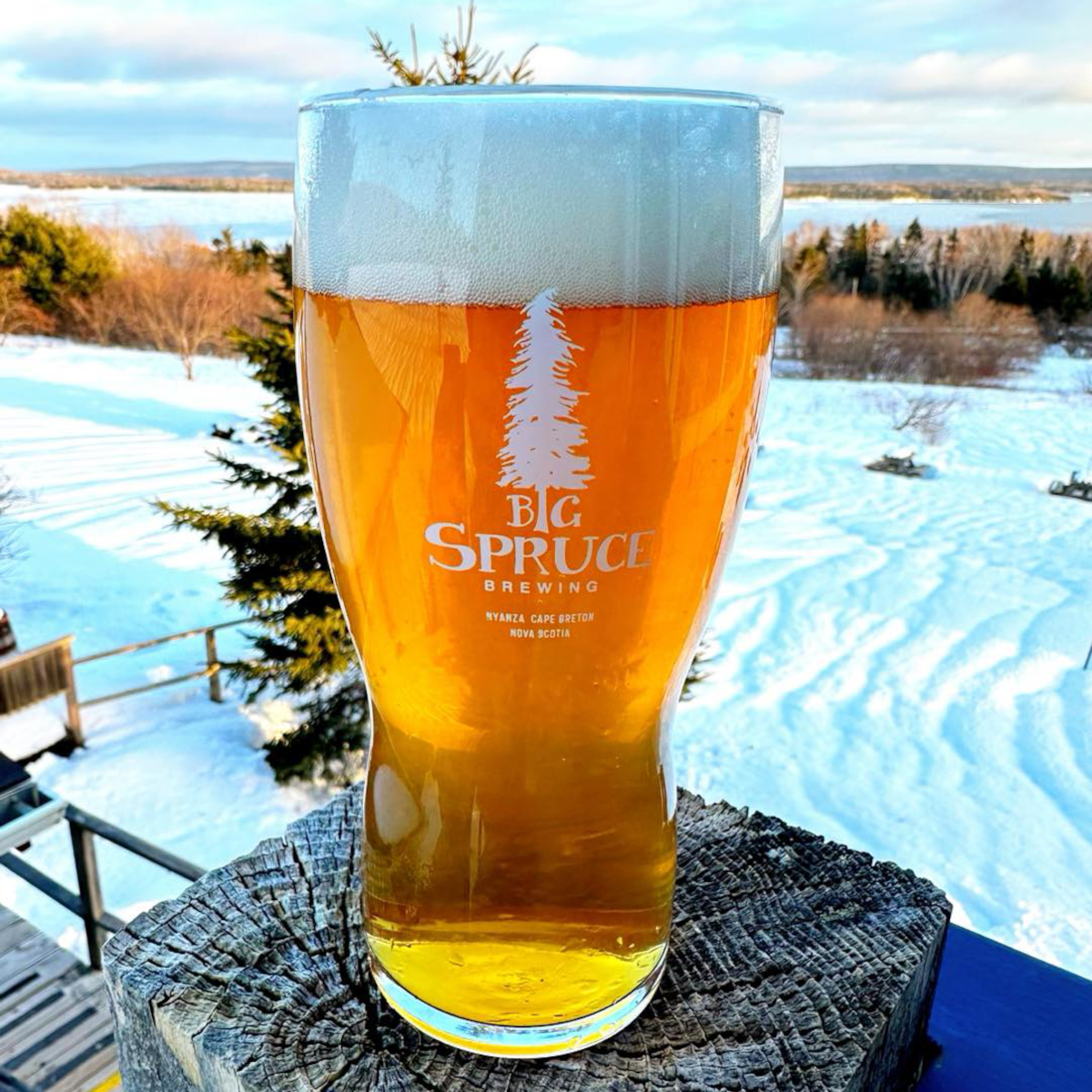 Product image for Big Spruce - Kitchen Party Pale Ale