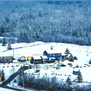 Product image for Big Spruce - Cereal Killer Oatmeal Stout