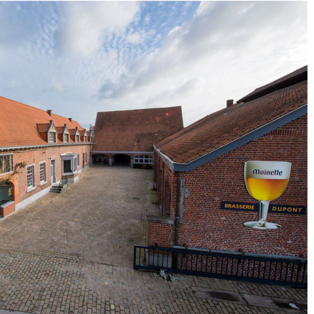 Product image for 750ml Brasserie Dupont - Saison Dupont