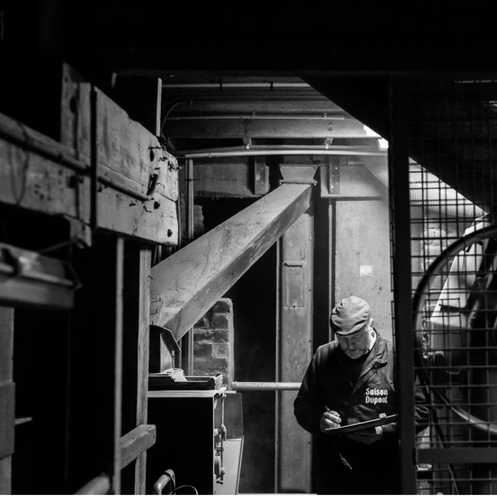 Product image for 750ml Brasserie Dupont - Saison Dupont