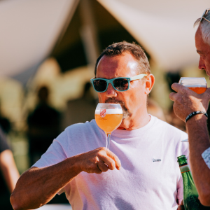 Product image for 750ml Brasserie Dupont - Saison Dupont