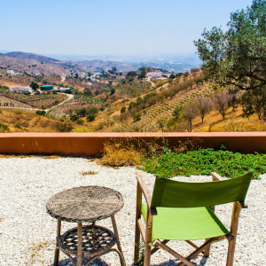 Product image for Vina Santurnia Reserva