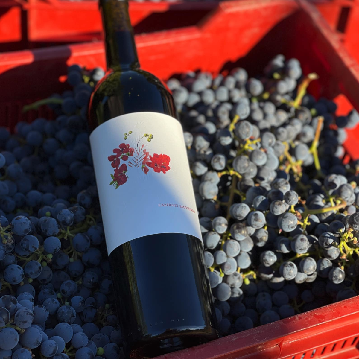 Product image for Big Flower Cabernet Sauvignon