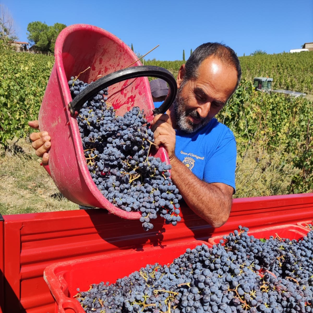 Product image for Rocca di Castagnoli Fattoria di Scannano Chianti