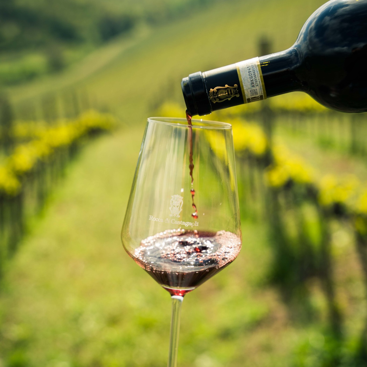 Product image for Rocca di Castagnoli Fattoria di Scannano Chianti