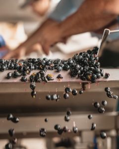 Product image for Los Cardos Malbec