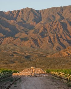 Product image for Paula Malbec