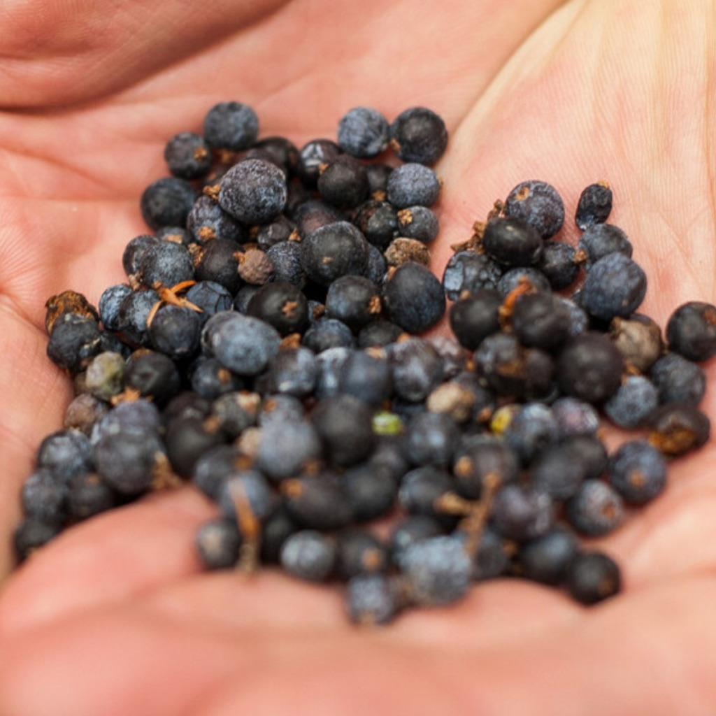 Product image for Compass Distillers Gin Wild