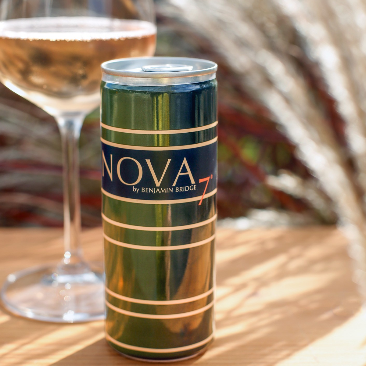 Product image for Benjamin Bridge Nova 7 Can