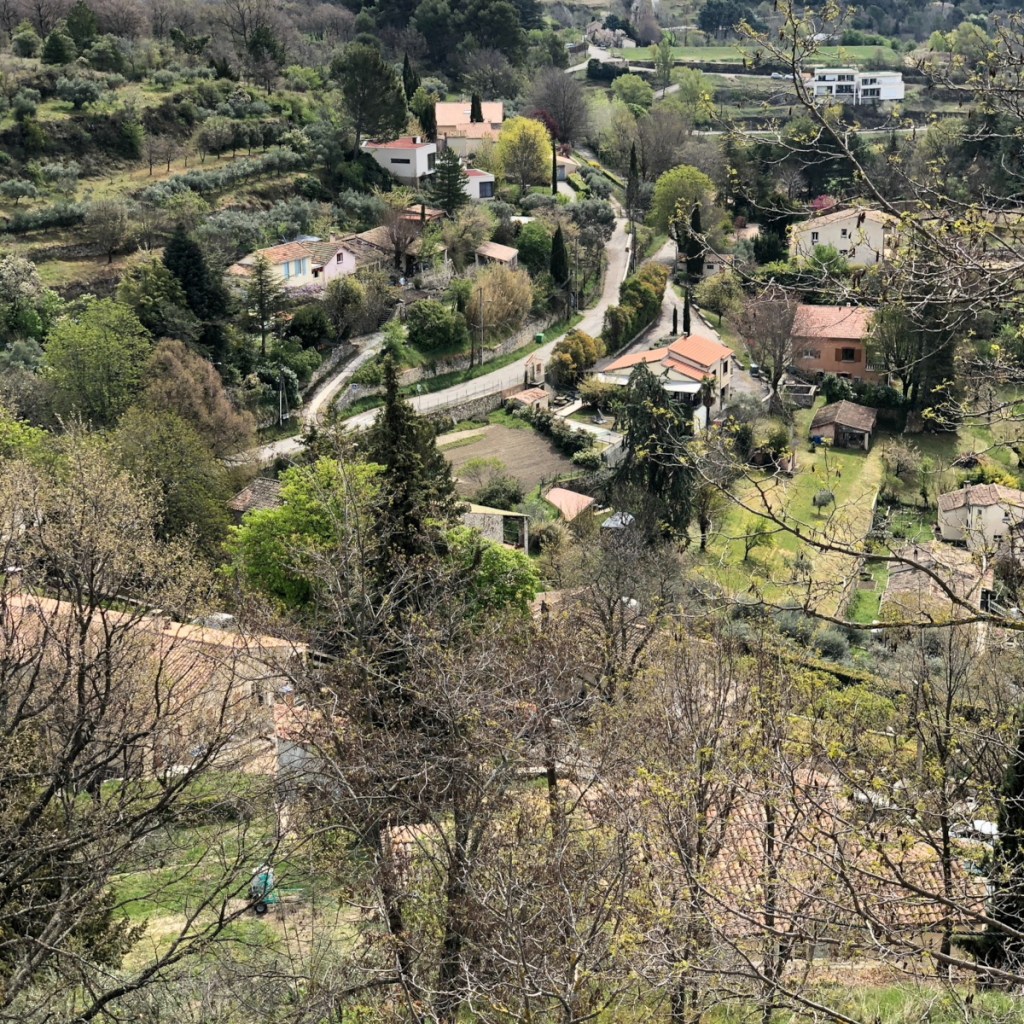 Product image for Pastis Henri Bardouin