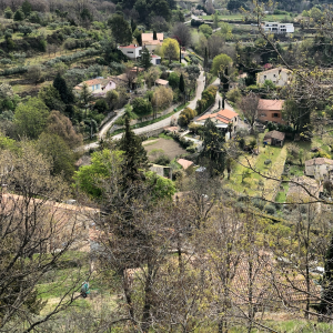 Product image for Pastis Henri Bardouin