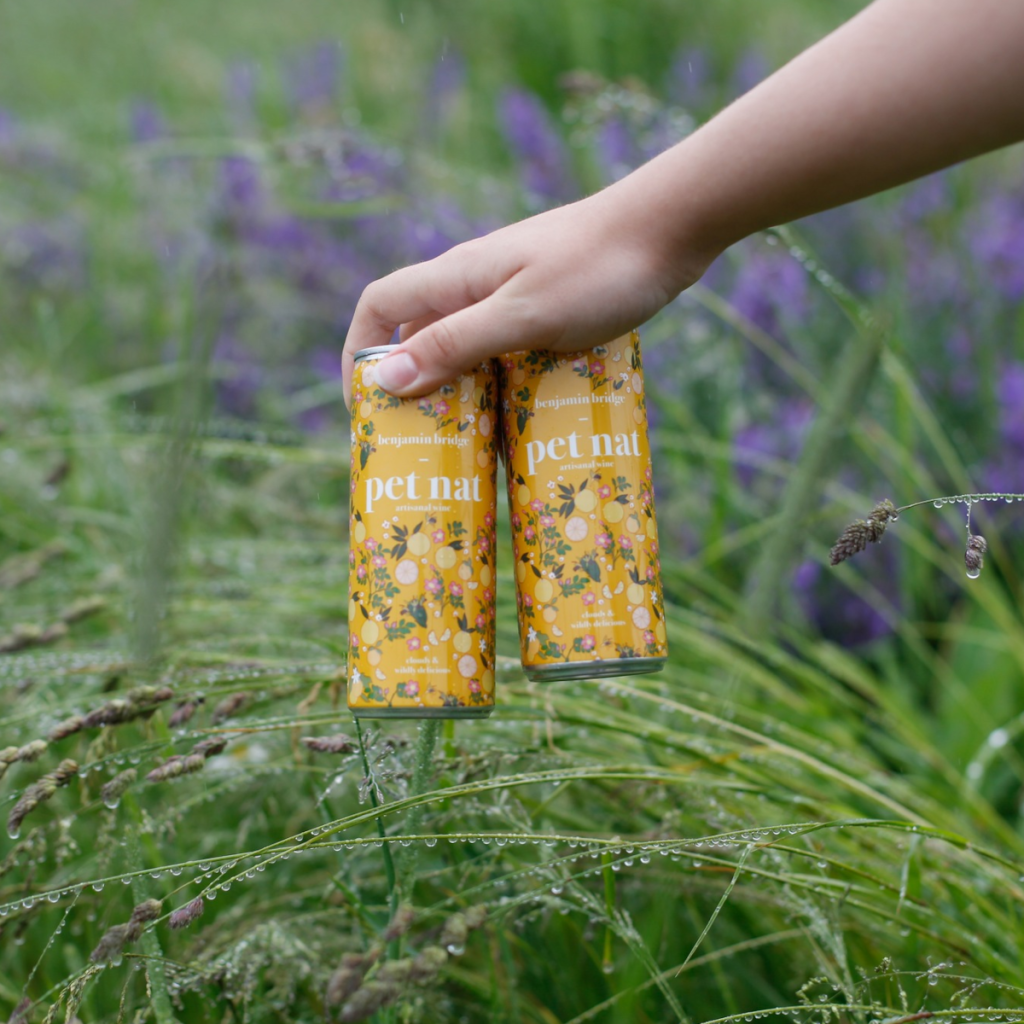 Product image for Benjamin Bridge Can Pet Nat