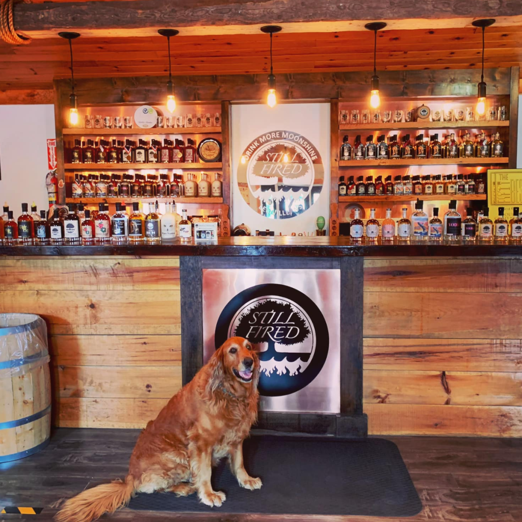 Product image for Still Fired RootBeer Moonshine