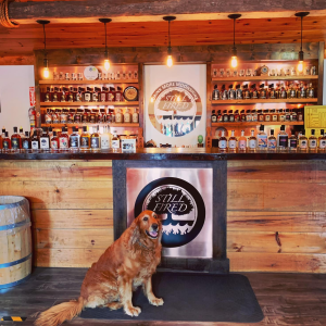 Product image for Still Fired RootBeer Moonshine