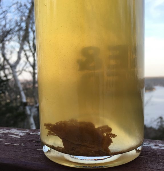 PetWhat? A beer lover’s guide to PetNat Cellar