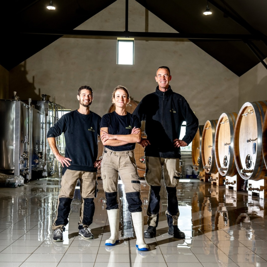 Product image for Brocard Bourgogne Chardonnay