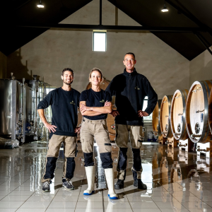 Product image for Brocard Bourgogne Chardonnay