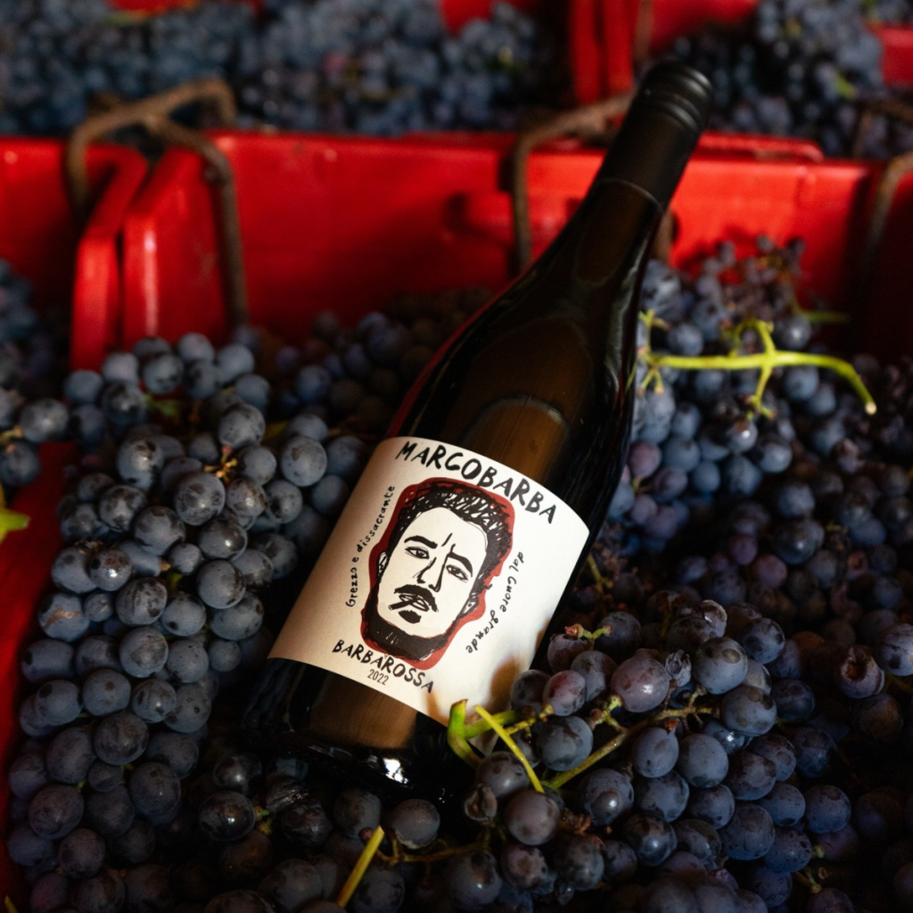 Product image for Marco Barba Barbarossa