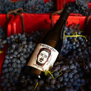 Product image for Marco Barba Barbarossa