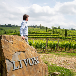 Product image for Livon Sauvignon Blanc