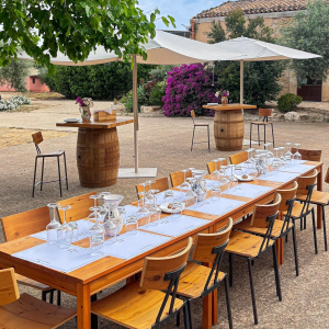 Product image for Feudo di Santa Tresa Frappato