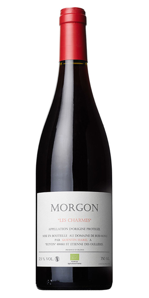 A product image for Quentin Harel Morgon Les Charmes