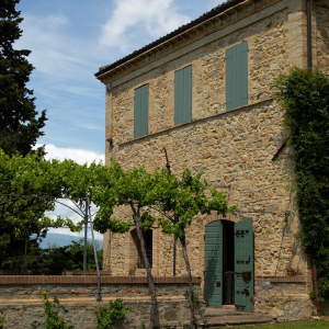 Product image for Antonelli Baiocco Sangiovese