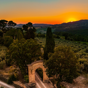 Product image for Antonelli Baiocco Sangiovese