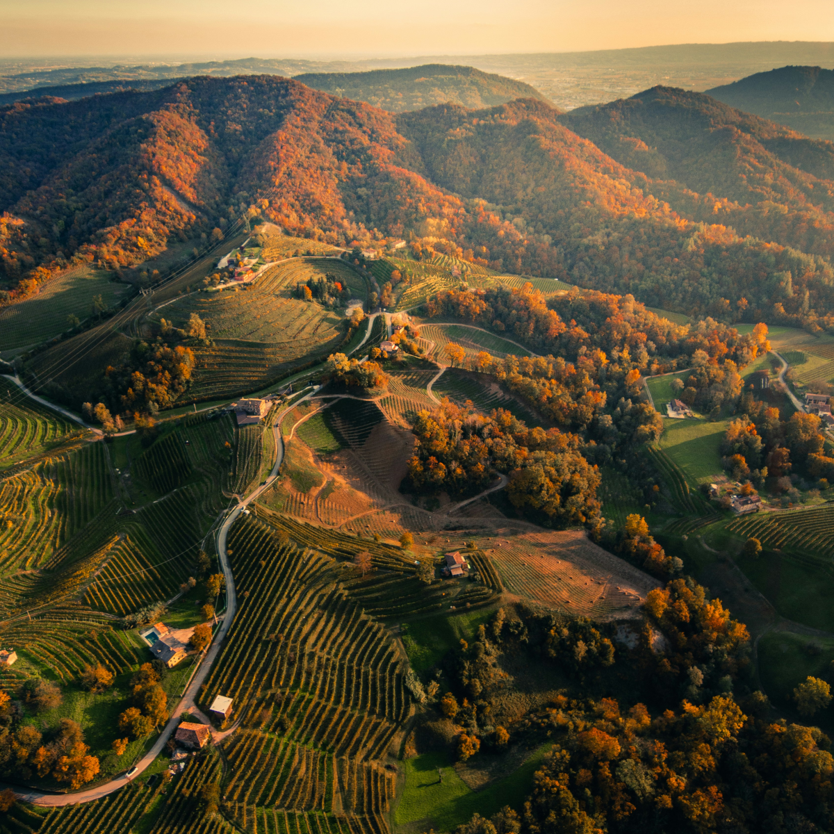 Product image for Brigaldara Superiore Ripasso