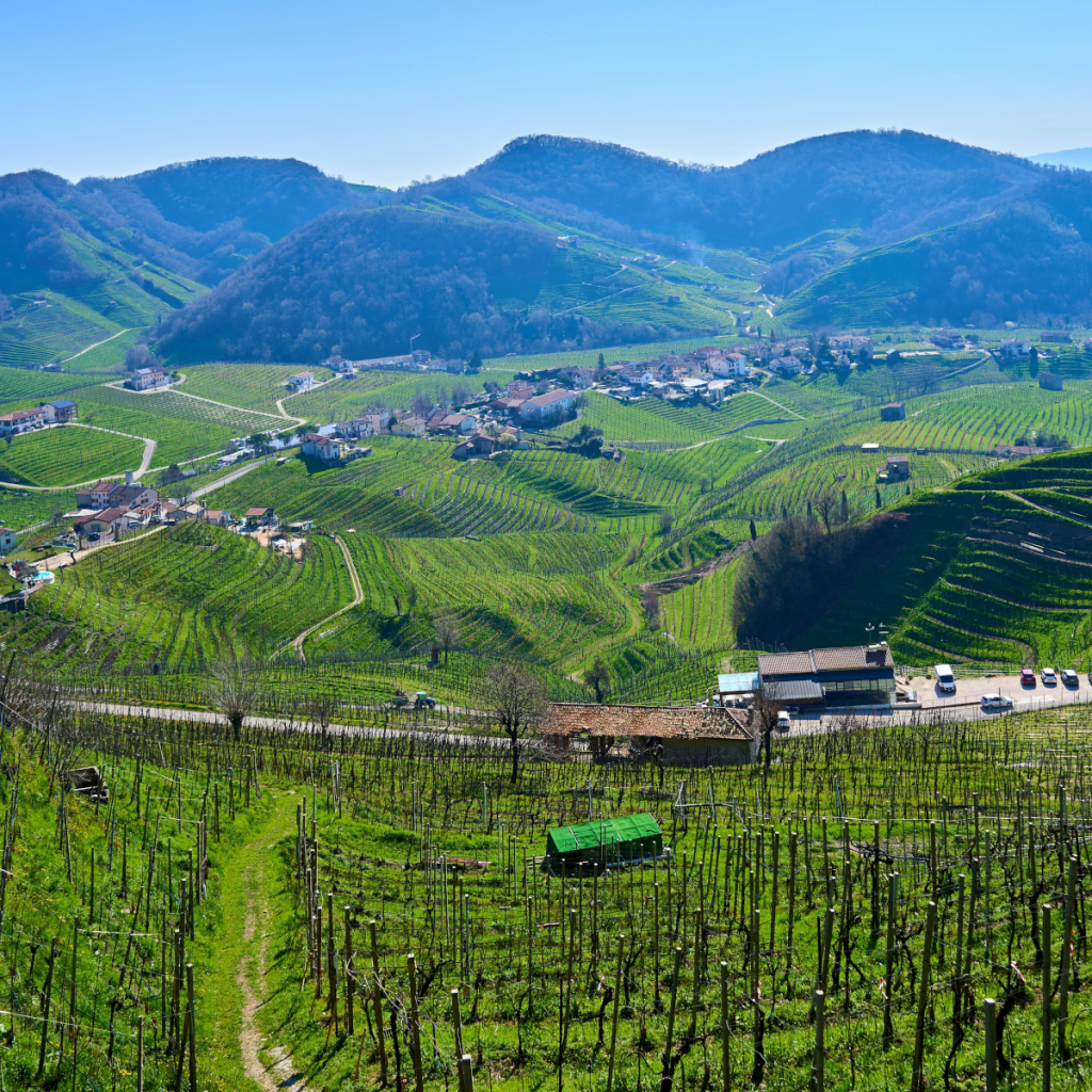 Product image for Brigaldara Recioto