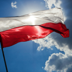 Product image for Wyborowa Vodka